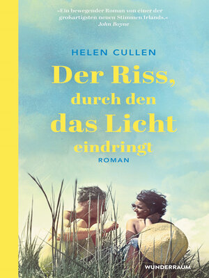 cover image of Der Riss, durch den das Licht eindringt